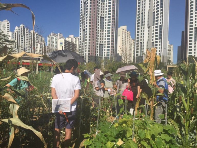 Read more about the article 서울시, 동네·아파트·학교 등 205개소에 도시농업 텃밭 만든다