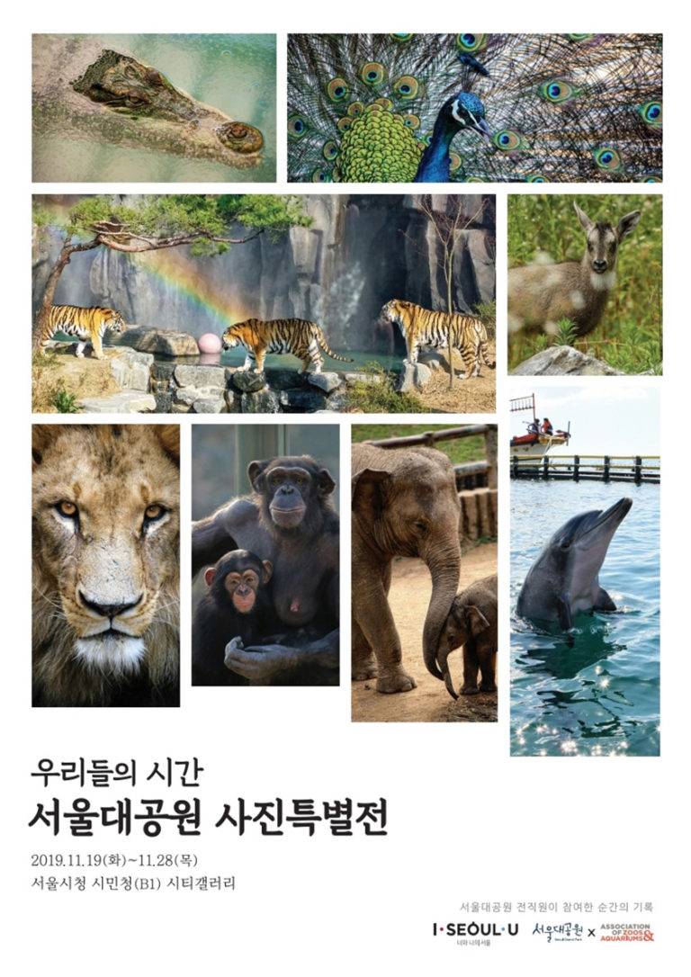 Read more about the article 서울대공원 전 직원이 찍은 순간의 기록…175점 사진전