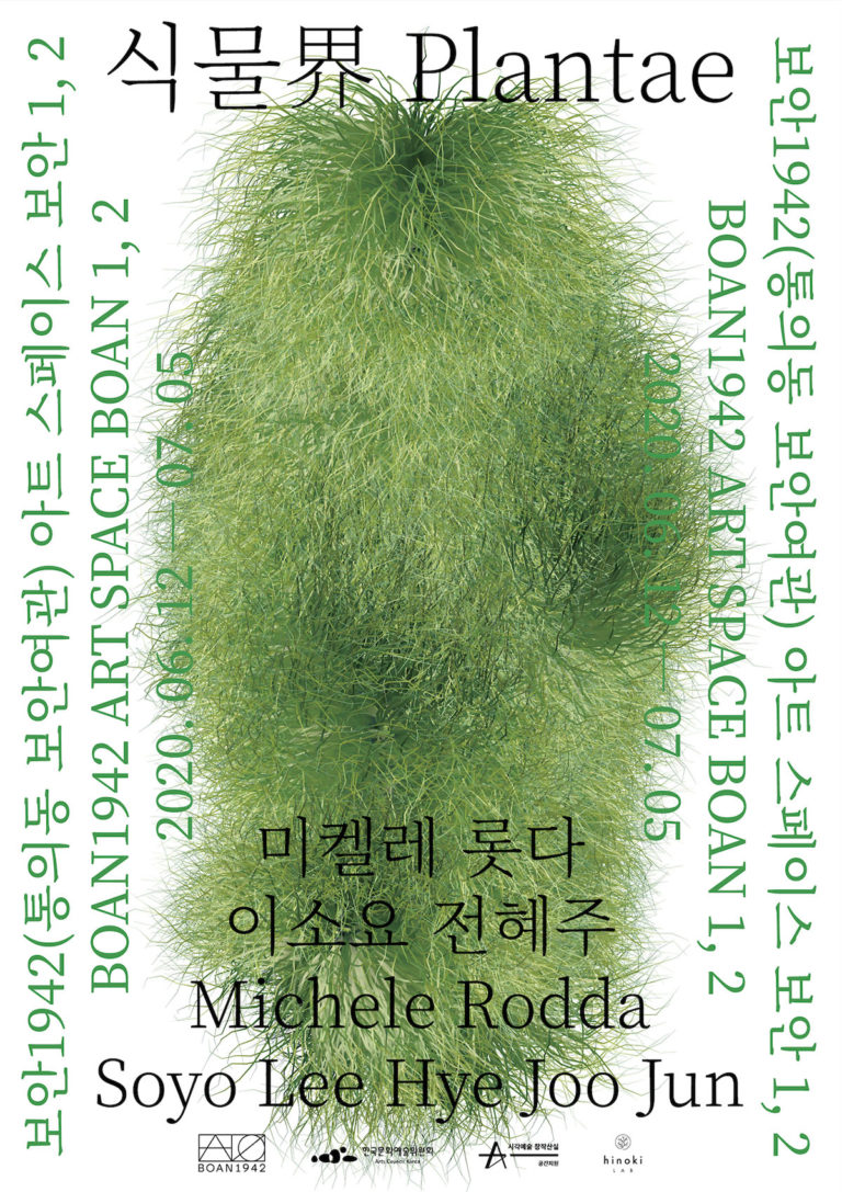 Read more about the article 식물계 Plantae