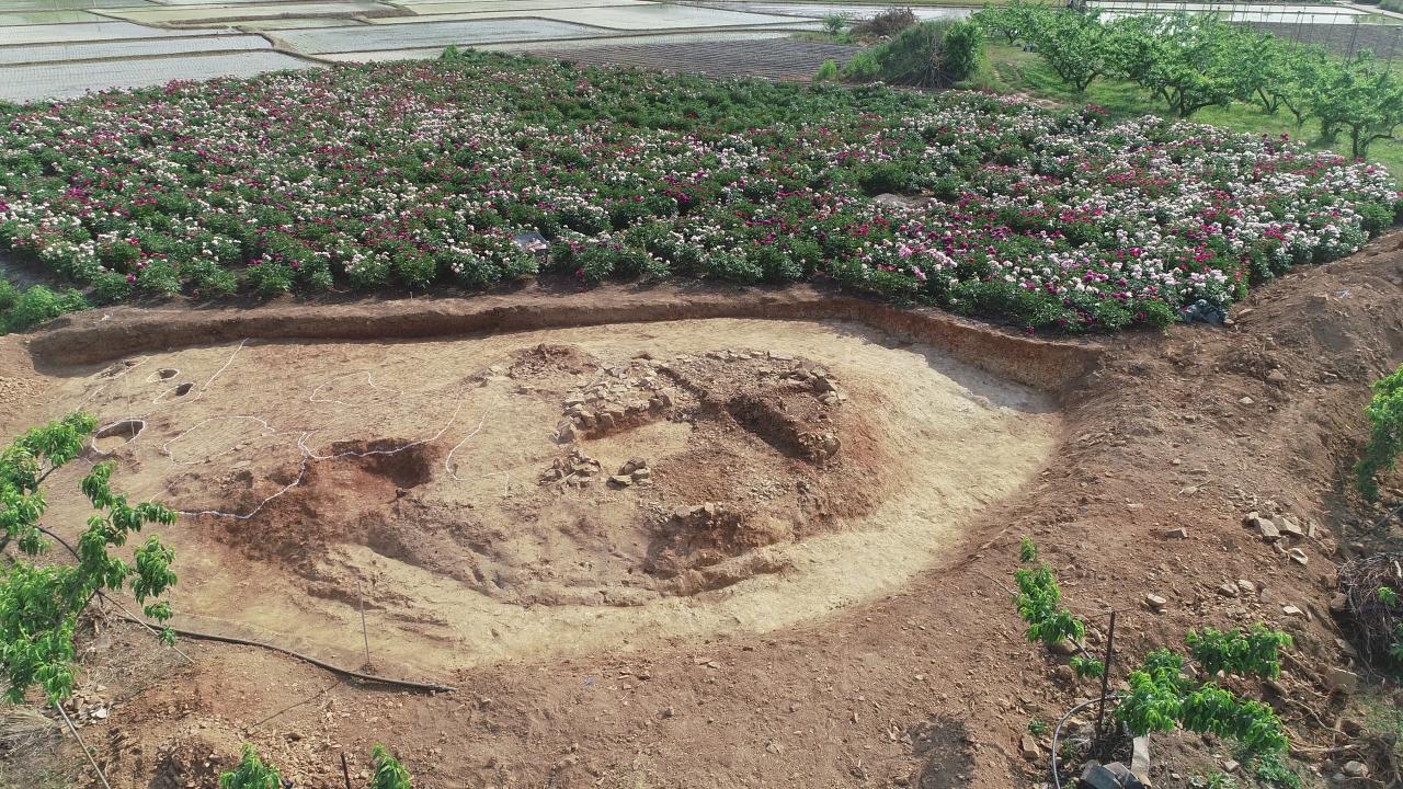 You are currently viewing 경북 의성 대리리에서 삼국시대 의성지역 고유 무덤양식 고분 발견