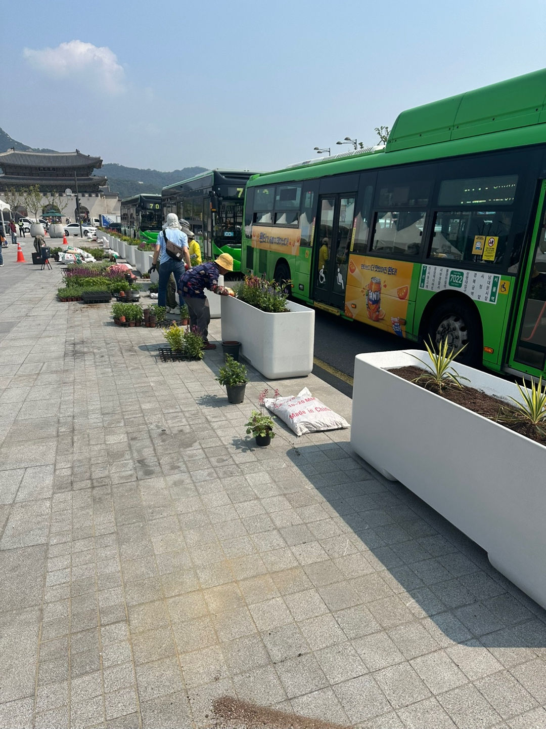 You are currently viewing ‘안심하고 걷는 광화문광장’…특수 콘크리트 화분으로 시민 안전 지킨다