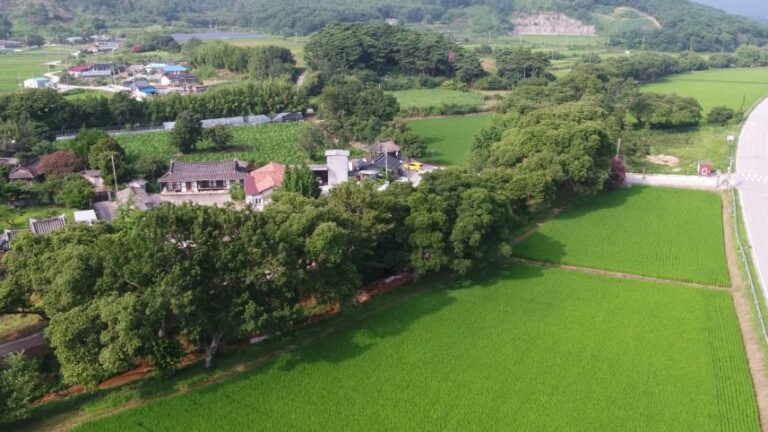 Read more about the article 「고창 삼태마을숲」 천연기념물 지정 예고