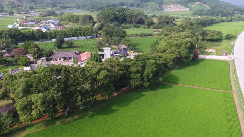 You are currently viewing 「고창 삼태마을숲」 천연기념물 지정 예고